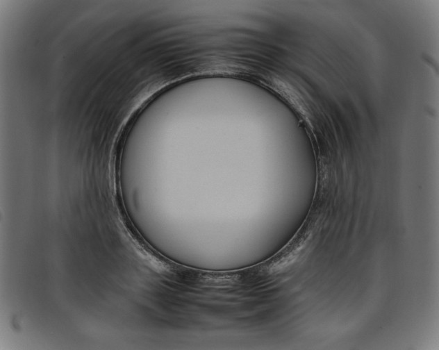 X0000098100843200804251402