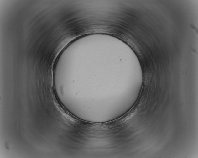 X0000098100844200804251402