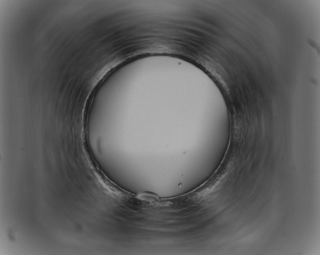 X0000098100845200804251402