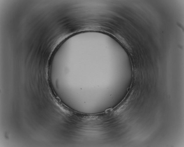 X0000098100846200804251402