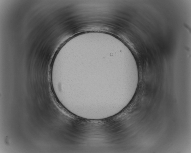 X0000098100848200804251402