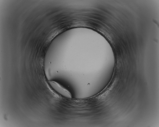 X0000098100849200804251402