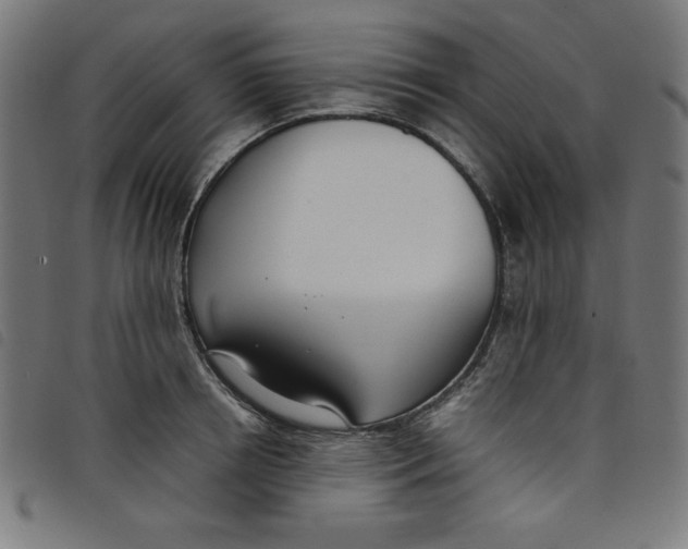 X0000098100850200804251402