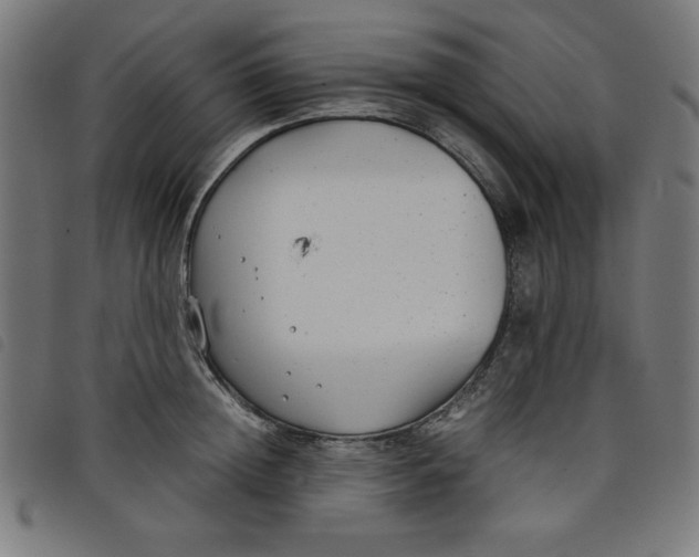 X0000098100852200804251403