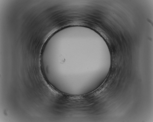 X0000098100853200804251403
