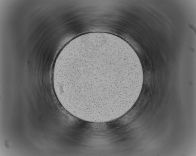 X0000098100856200804251403