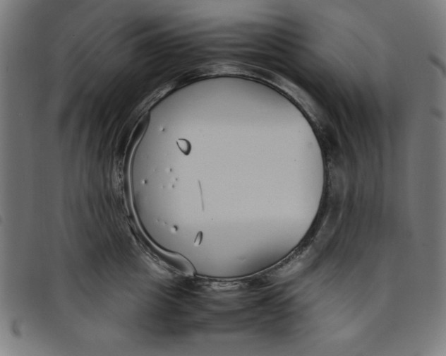 X0000098100857200804251403