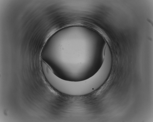 X0000098100858200804251403