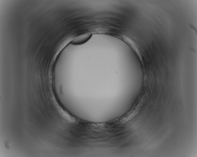 X0000098100859200804251403