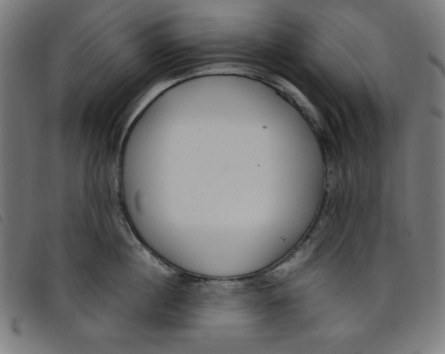 X0000098100860200804251403