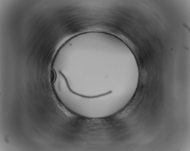 X0000098100862200804251403