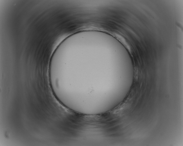X0000098100863200804251403
