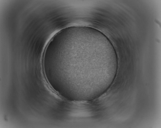 X0000098100864200804251403