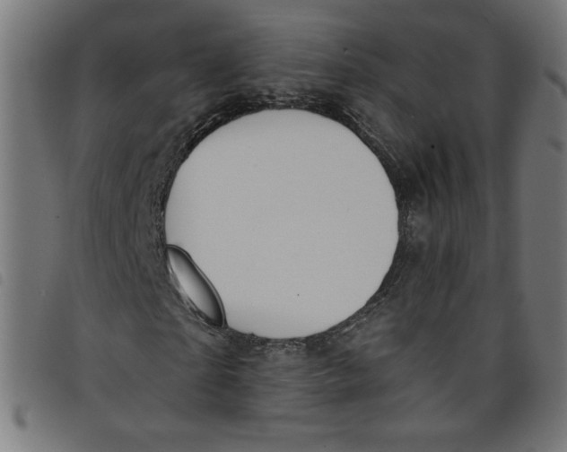 X0000098100865200804251402