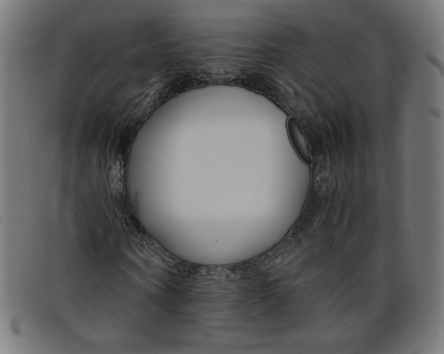 X0000098100866200804251402