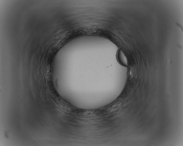 X0000098100867200804251402