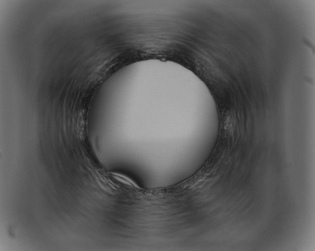 X0000098100868200804251402
