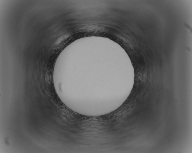 X0000098100869200804251402