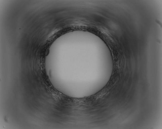 X0000098100870200804251402