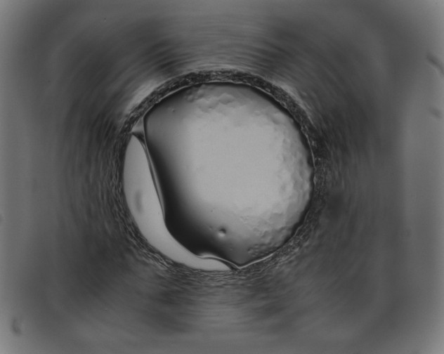 X0000098100871200804251402
