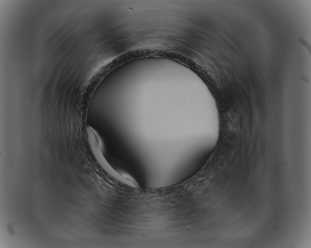 X0000098100872200804251402