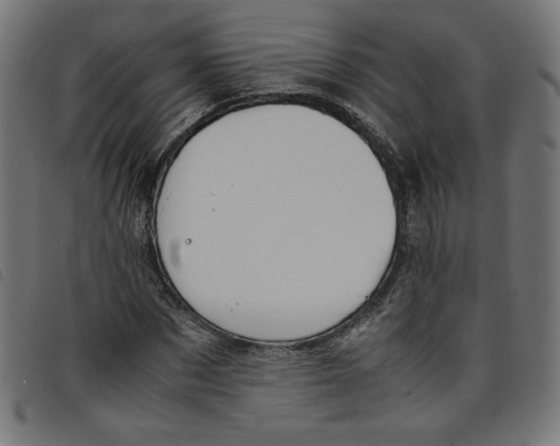 X0000098100873200804251402