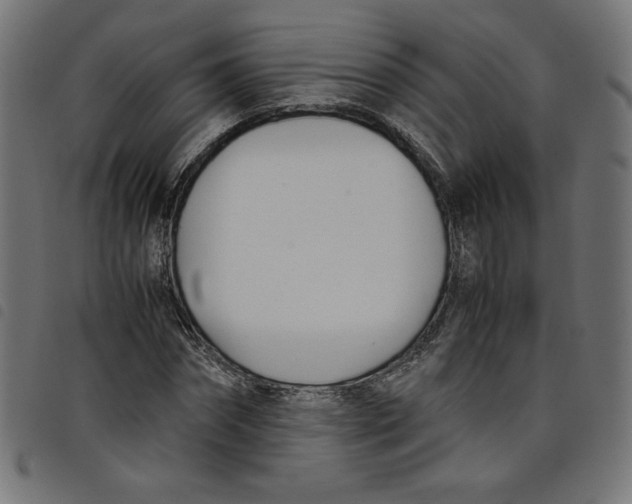 X0000098100874200804251402