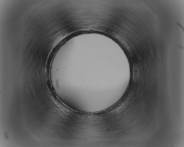 X0000098100876200804251402