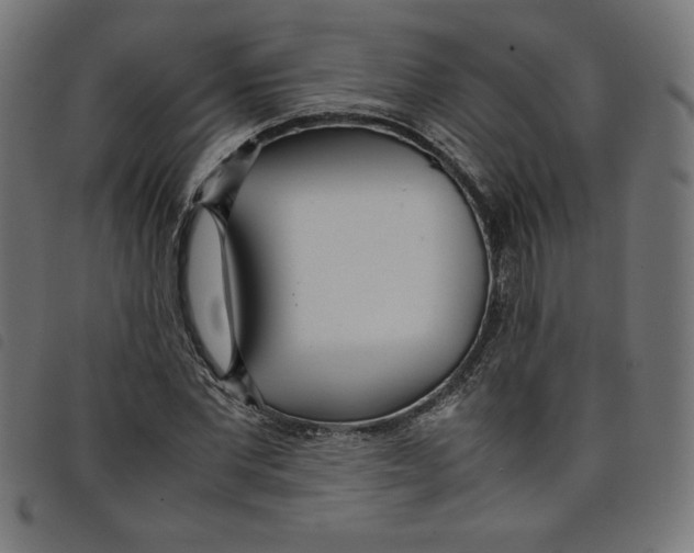 X0000098100877200804251402