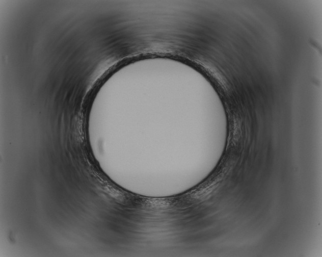 X0000098100878200804251402