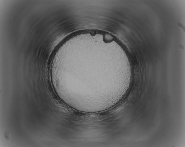 X0000098100879200804251402