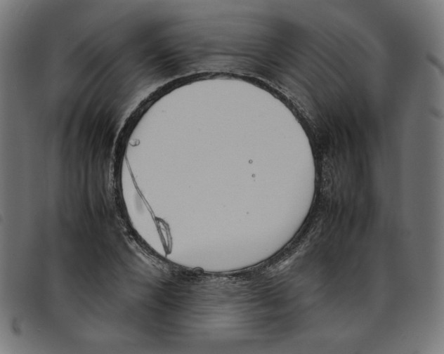 X0000098100880200804251402