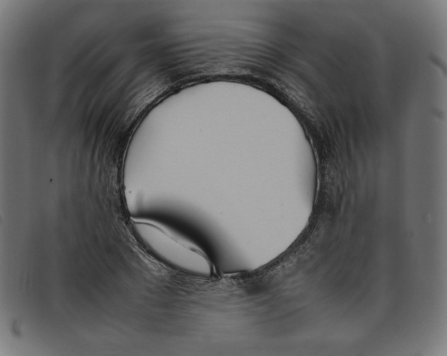 X0000098100881200804251402
