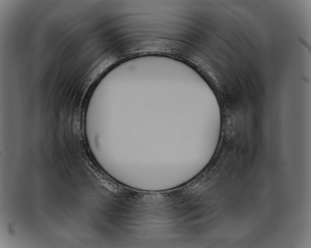 X0000098100882200804251402