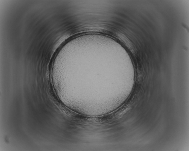 X0000098100883200804251402