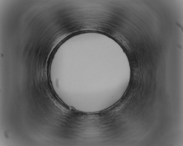 X0000098100884200804251402