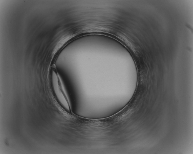 X0000098100885200804251402