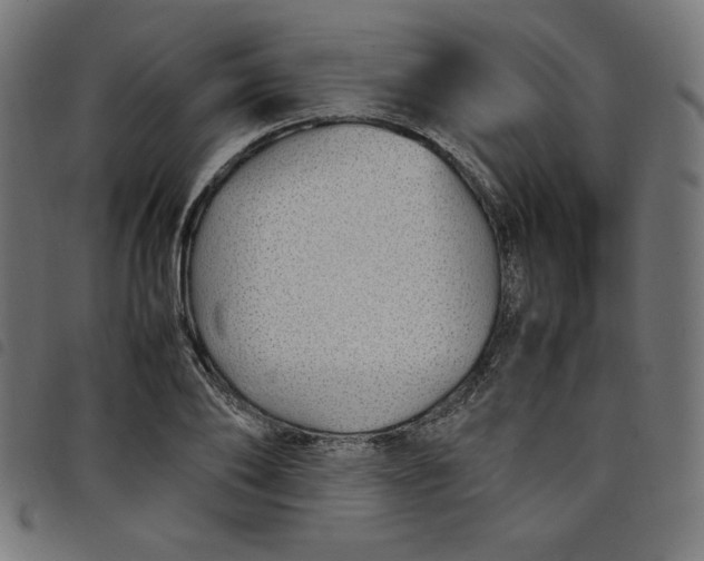 X0000098100886200804251402