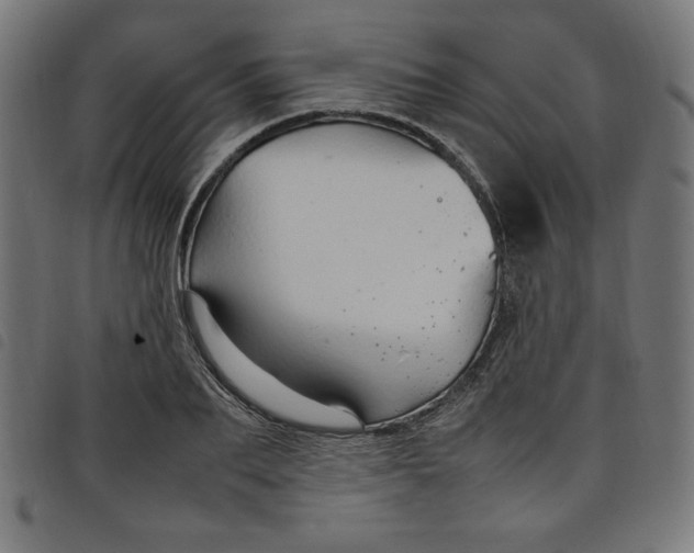 X0000098100887200804251402
