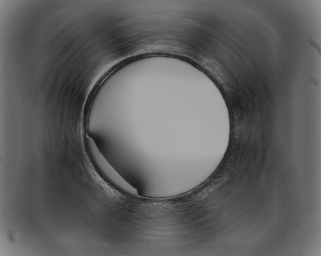 X0000098100888200804251402