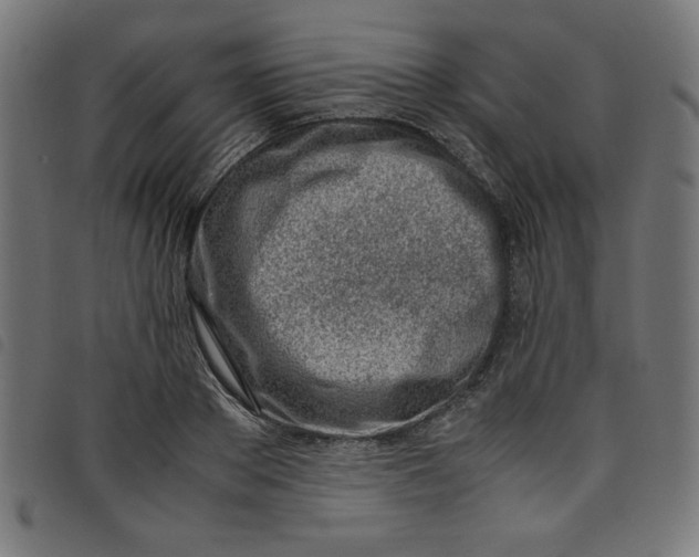 X0000098100889200804251402