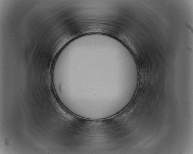 X0000098100890200804251402