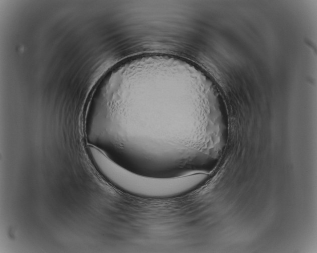 X0000098100891200804251402