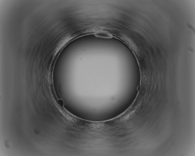 X0000098100893200804251402