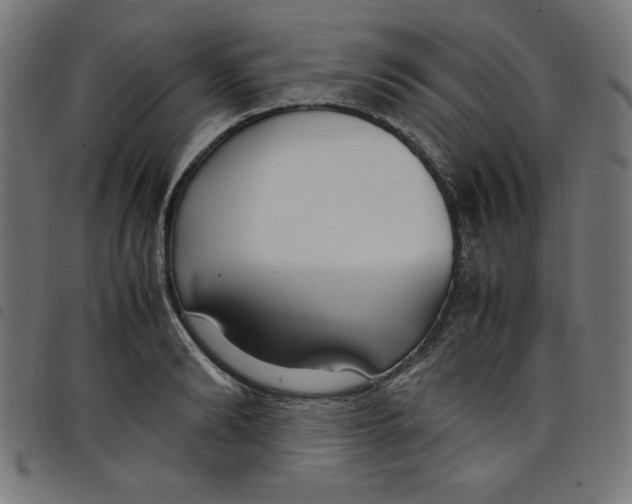 X0000098100894200804251402