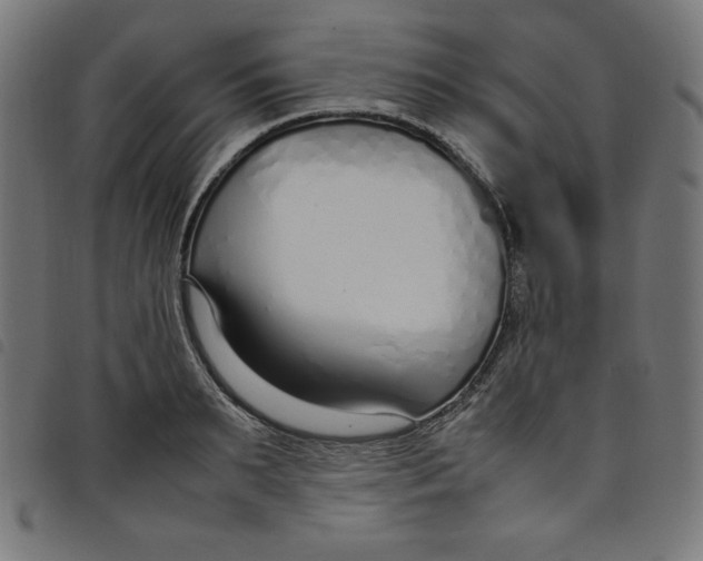 X0000098100895200804251402