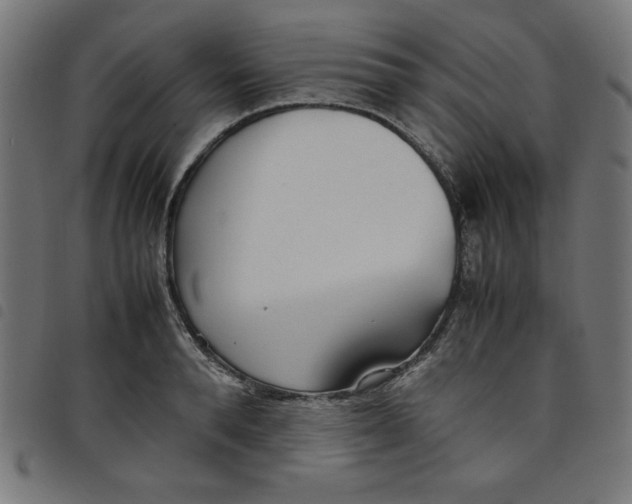 X0000098100896200804251402