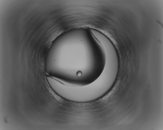 X0000098100897200804251402