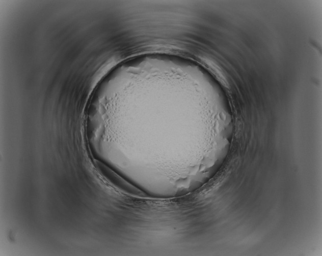 X0000098100899200804251401