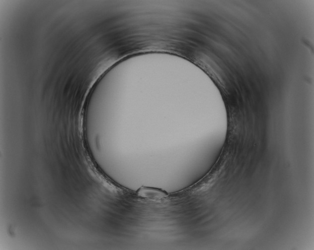 X0000098100900200804251401